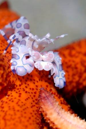 �����@�ω���